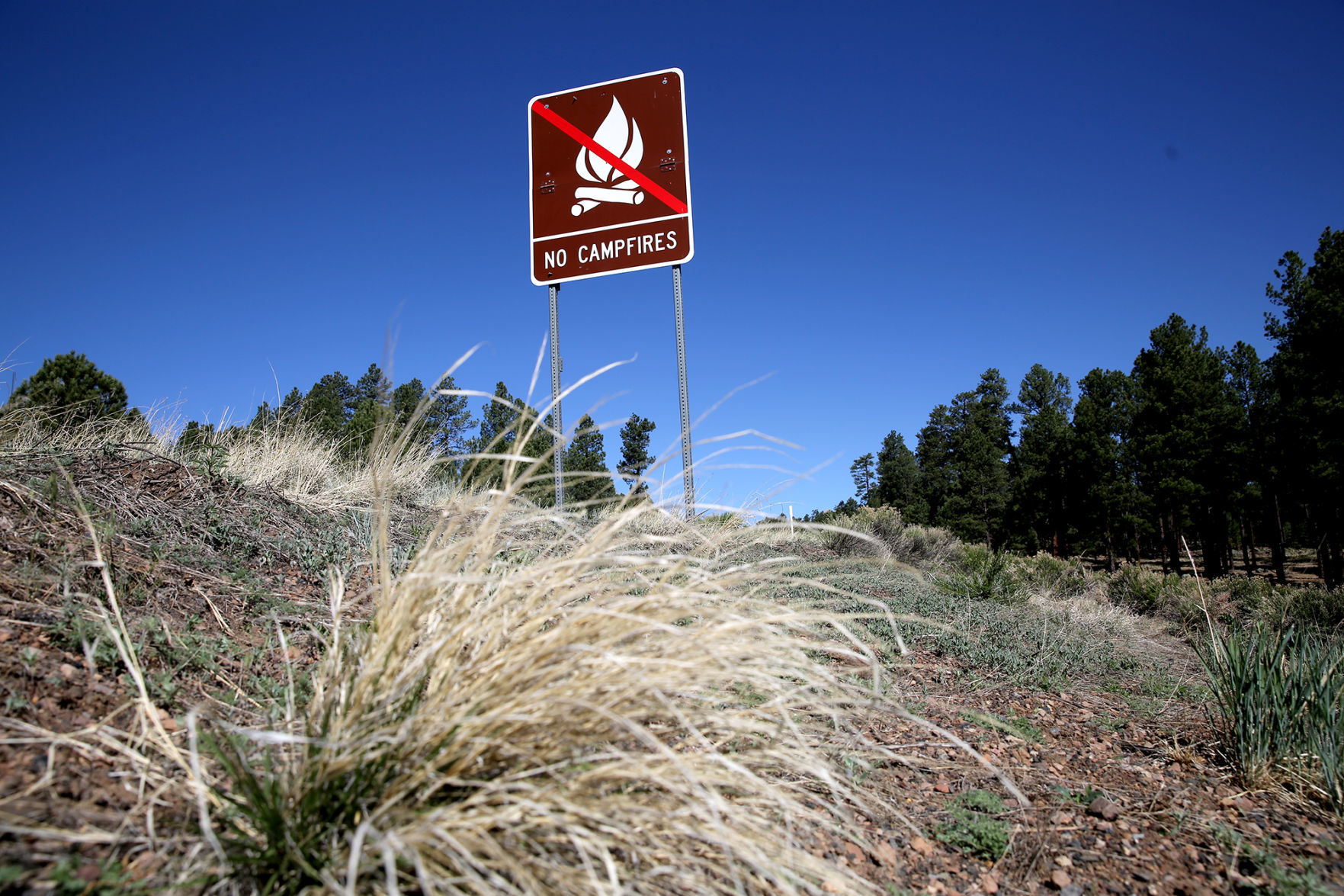 No Campfires and For Now No Access